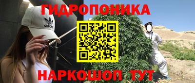 таблы Новозыбков